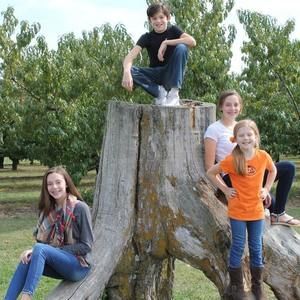 Meet your Posher, Leesa